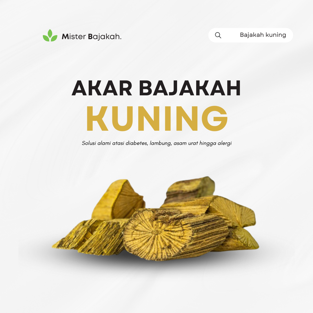 Akar Bajakah Kuning Asli Kalimantan Lazada Indonesia