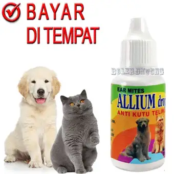 Obat Telinga Kucing Anjing Tetes Sakit Kuping Allium Lazada