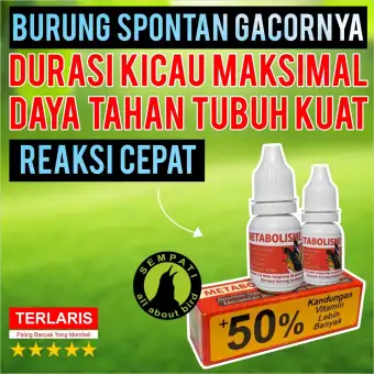 Metabolisme Sempati Vitamin Burung Meningkatkan Birahi Cepat Bunyi