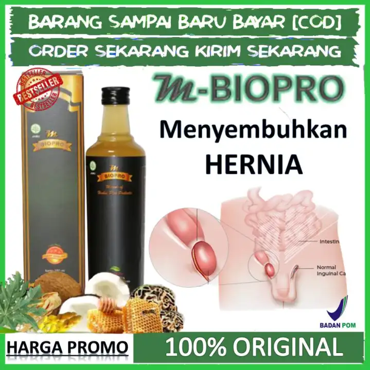 Obat Hernia Paling Ampuh Obat Turun Berok Tanpa Oprasi Obat Herbal Original Mbio Pro Asli Tanpa