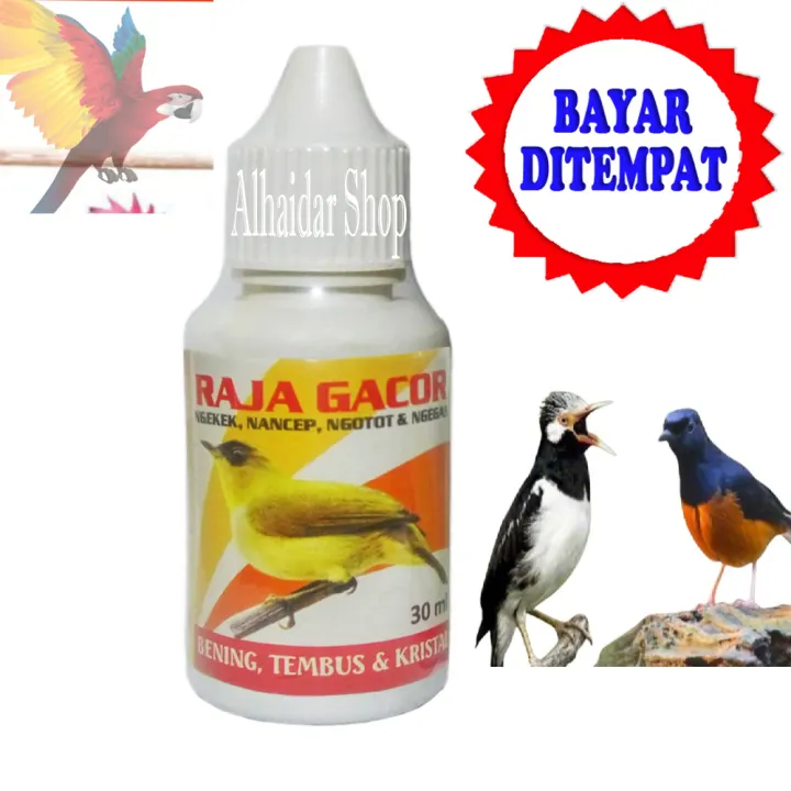Jual Spektra Dr Hewan Edi Obat Burung Berkicau Membuat Burung Gacor Rajin Bunyi Dan Mengkristal Di Lapak Rahmat Rfam Jaya Ps Bukalapak