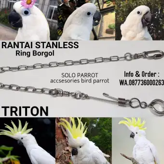 Rantai Burung Kakatua Triton Ring Borgol Lazada Indonesia