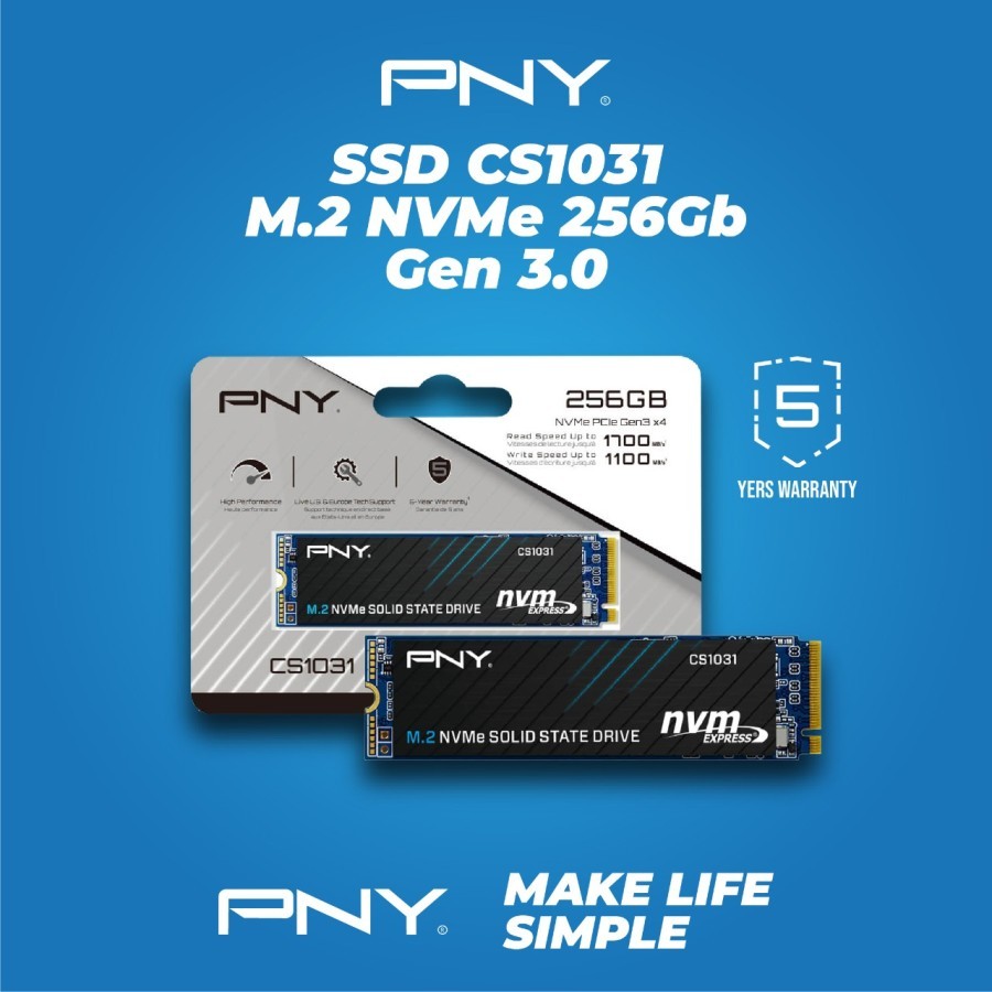 SSD Nvme PNY 256GB CS1031 PCIE Gen 3x4 M 2 2280 Lazada Indonesia