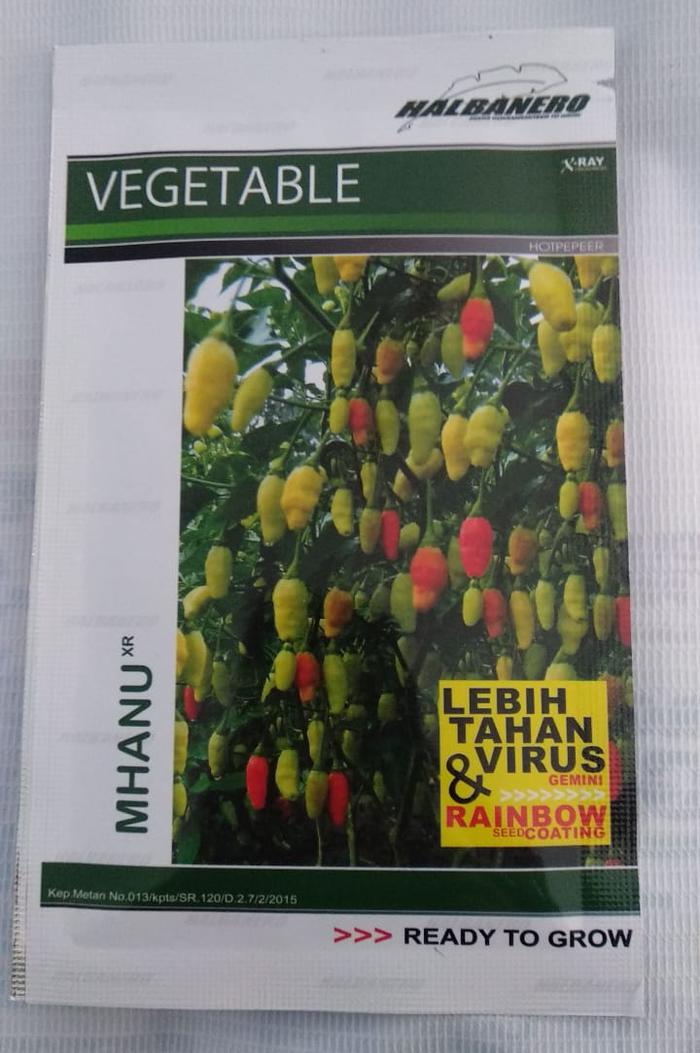 Benih Biji Cabe Mahnu XR Tahan Virus