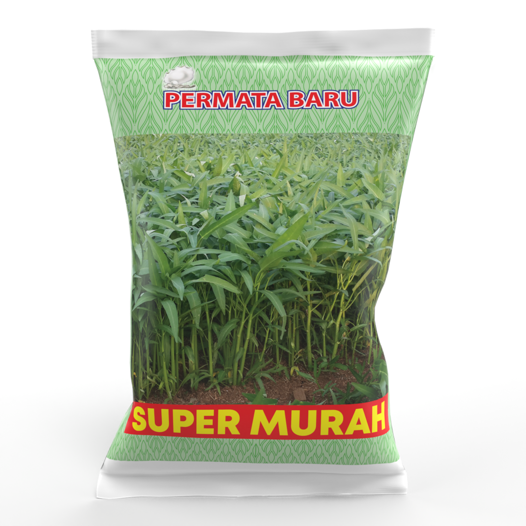 Kangkung Super Permata Baru