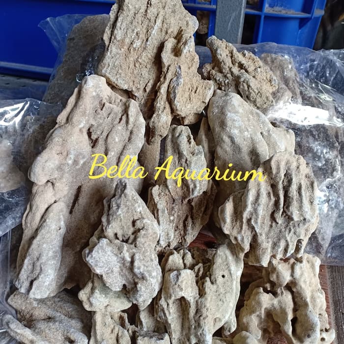 Jual Batu Fosil Pasir 1kg Terbaru Lazada Co Id