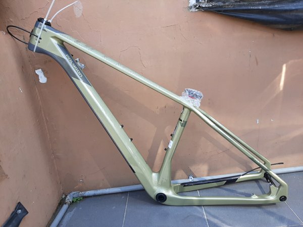 Frame best sale carbon polygon