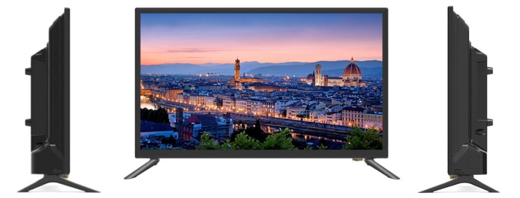 Panasonic TH 24F305G HD LED TV 24 Inch - Khusus Jabodetabek