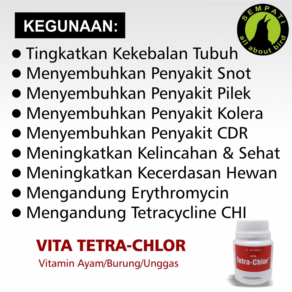Tetra Chlor Obat Unggas Ngorok batuk pilek 50 kapsul medion obat ayam -  obat merpati | Lazada Indonesia