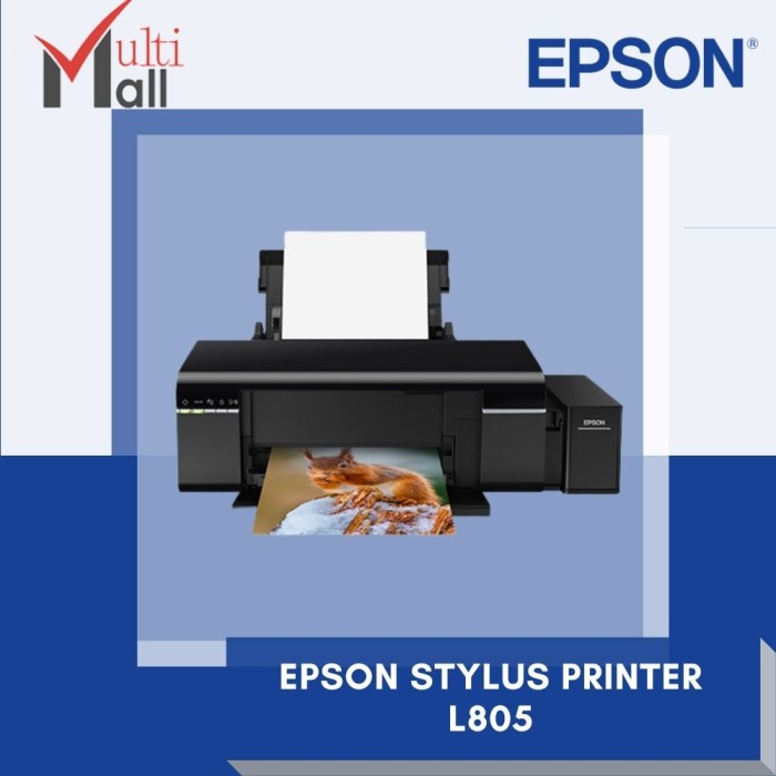 Jual Printer Epson Stylus T60 Terbaru 