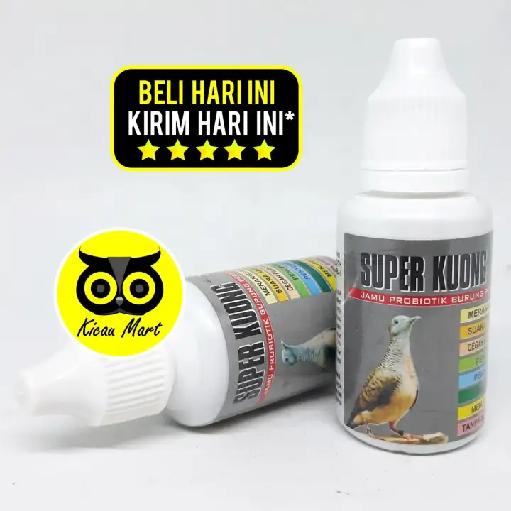 Begini Cara Dan Tips Agar Perkutut Cepat Bertelur Daftarhewan Com