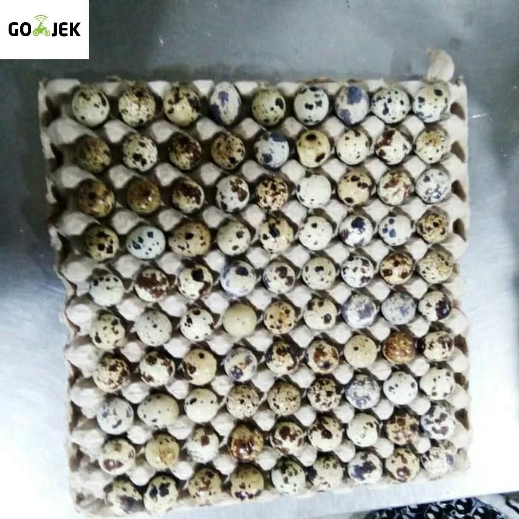 Telur Puyuh Curah Segar Isi 90 Butir By Sajira Farm.