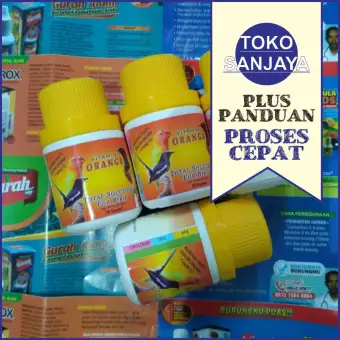 Vitamin Vit Orange Kapsul Multivitamin Untuk Burung Lovebird