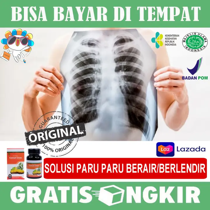 Paru Paru Berair