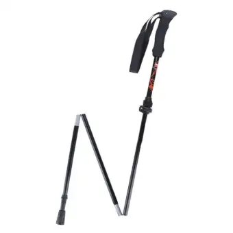 eiger trekking pole