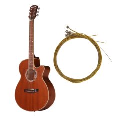 28-30lbsbonus: Senar Gitar Akustik