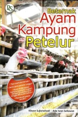 Beternak Ayam Kampung Petelur