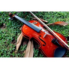 Biola 4/4 Violin Orchestra Orkestra Akustik Ukuran Dewasa Brown Solid Mahogany Kayu Wood Coklat