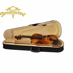 Biola / violin brown 4/4 better quality
