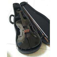 Biola / Violin Full Set Plus Hardcase 4/4 Black