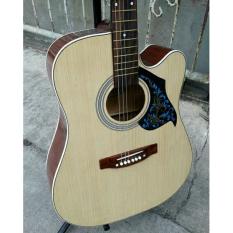 Gitar Akustik Pemula Jumbo Sungkai Yamaha F1000 Free Tas