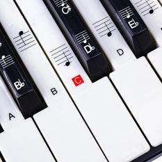 Stiker To Piano, Keyboard Musik Catatan Penuh Set Stiker To Putih & Hitam Kunci With Piano Panduan Pengguna, transparan atau Aman, Hadiah Anda Easily Mempelajari Pelajaran Piano-Internasional