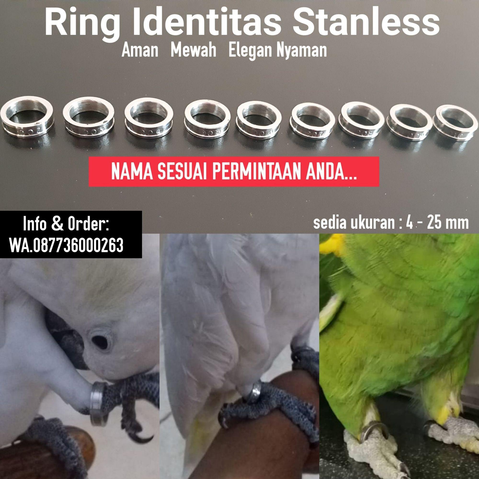 Ring Kaki Identitas Burung Membeli Jualan Online Ranjang Dengan