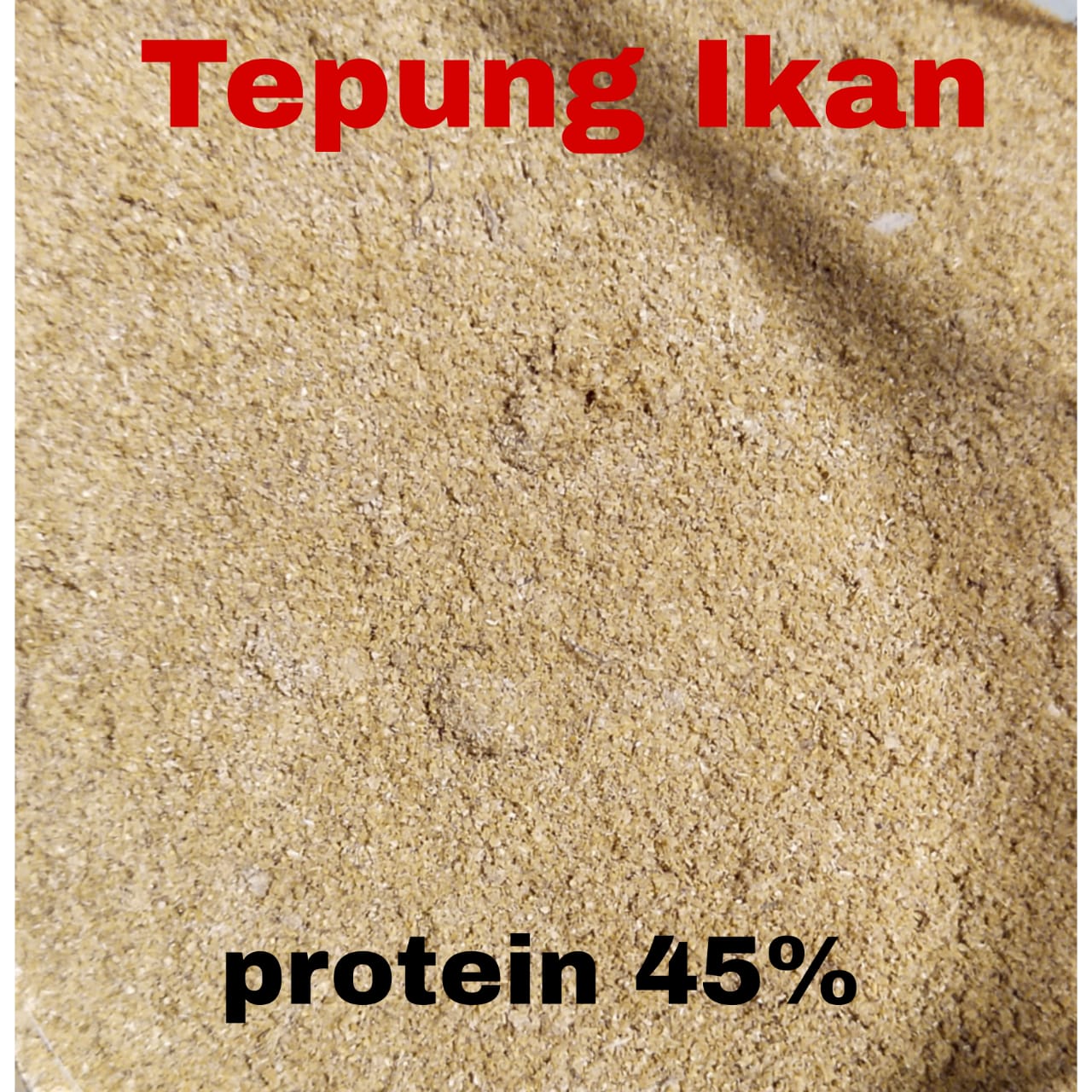 Tepung Ikan Untuk Campuran Pada Pelet Ikan Protein 45 Tepung Ikan