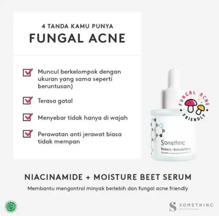 Free Gift Somethinc Serum Hyaluronic B5 Niacinamide Aha Bha Peeling Retinol 1 Lazada Indonesia