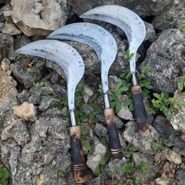 Arit Rumput Baja Super Tajam Arit Babat Rumput Arit Pengaritan Arit Rumput Besar Jawa Tengah Arit Rumput Tajam Alat Pemotong Rumput Sabit Potong Rumput Lazada Indonesia