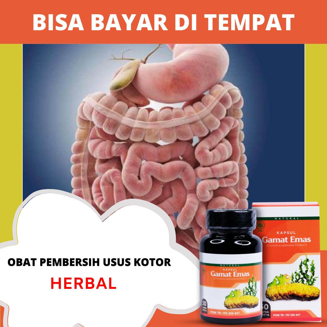 KAPSUL GAMAT EMAS Obat Kapsul Pembersih Usus Kotor HERBAL Susah