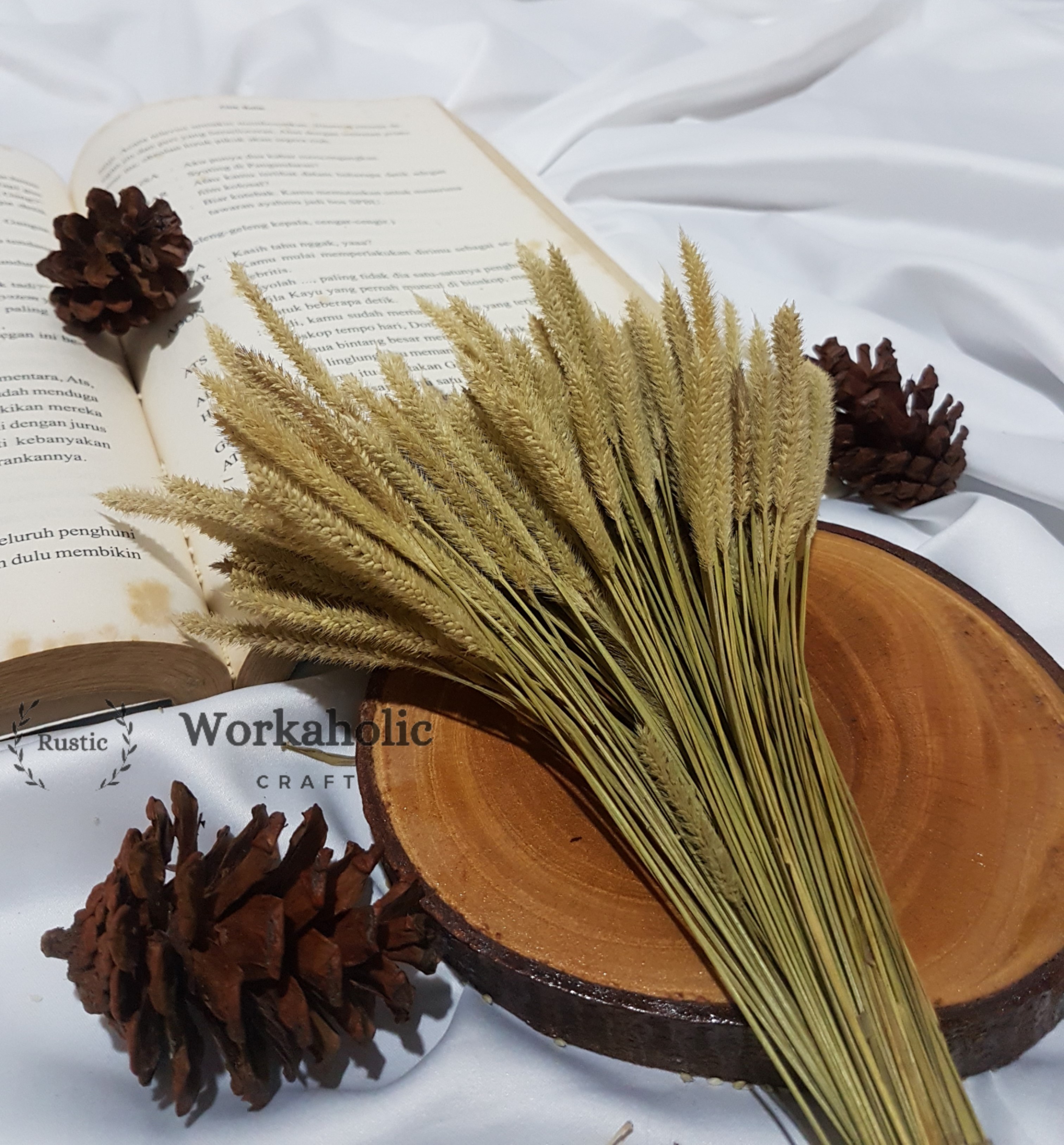 Xotin sevgilisini erini sikishga majbur qildi.