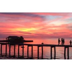 CNT TRAVEL Wakatobi Tour - 5 D 4 N