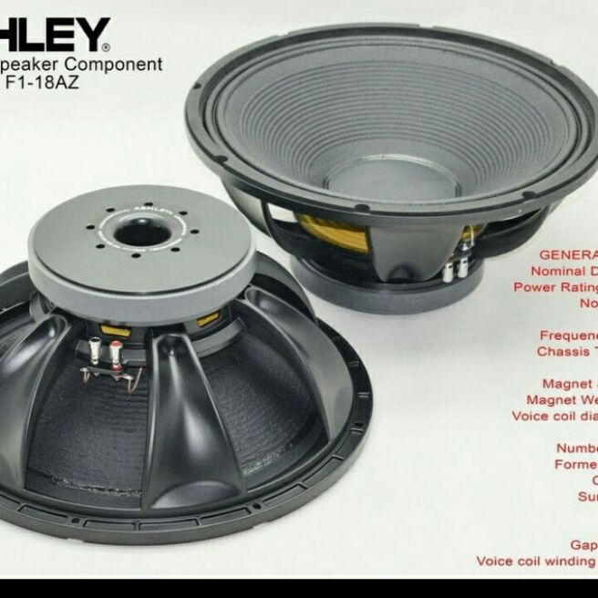 speaker ashley 18 db