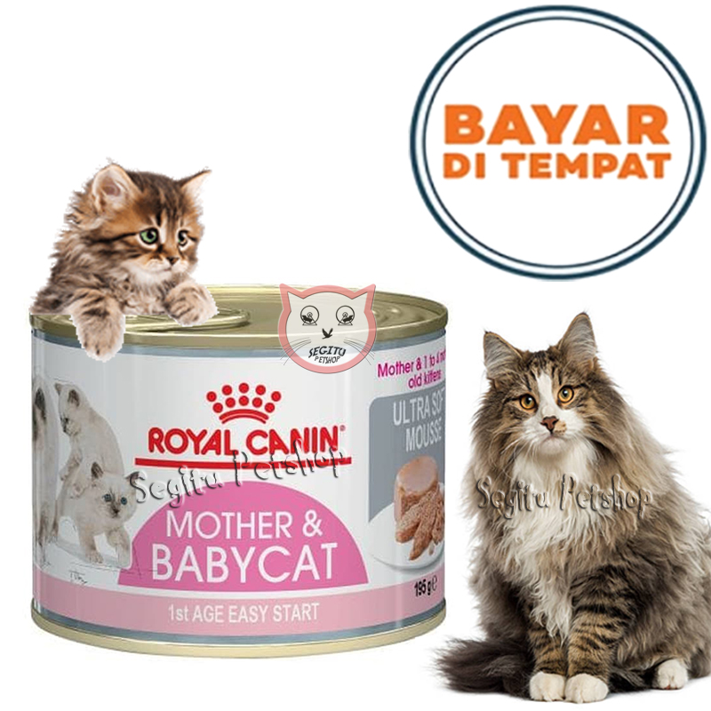 royal canin siberian cat