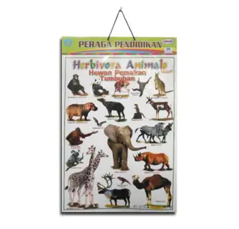 5800 Koleksi Gambar Mewarnai Hewan Herbivora Gratis Terbaru