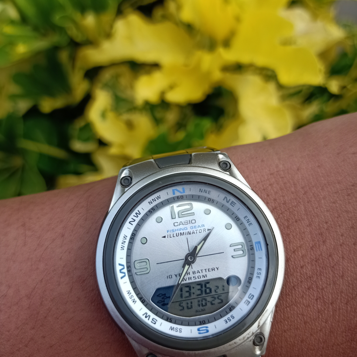 Jam Tangan Kasual Pria Casio | Lazada.co.id