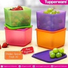 BEST PROMO TUPPERWARE MEDIUM SUMMER FRESH TEMPAT MAKAN SEDANG
