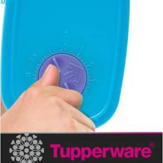 BEST PROMO TUPPERWARE MINI FREEZERMATE TEMPAT MAKANAN DI KULKAS 1 PCS