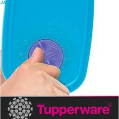 BEST PROMO TUPPERWARE MINI FREEZERMATE TEMPAT MAKANAN DI KULKAS 6 PCS