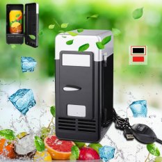 Car Kit Mini Can Drink Fridge Beverage Cooler Warmer Refrigerator Freezer HS609