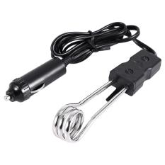 Mobil Listrik Air Matang Immersion Heater (12 V)-Intl