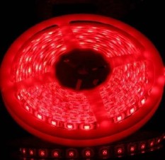 Flexible LED Strip Lights - 5050 SMD ( MATA GEDE ) 300LED IP30 RED