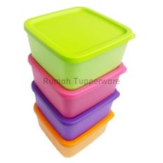 Promo Tupperware Small Summer Fresh Wadah Tempat Makan - C33dcb