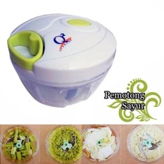 Toko David Q2 Mini Cutter Alat Pencacah Serbaguna Sayur / Pencacah Buah / Blender Manual / Mini Blender