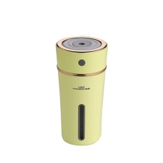 Ruixiang USB Air Humidifier Steam Sprayer Humidifier LED Night Light Air Purifier Freshener untuk Mobil/rumah/kantor- INTL