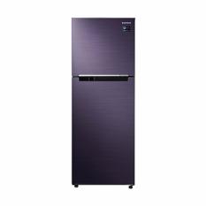 SAMSUNG Lemari Es 2 Pintu - RT29K5032S8/SE