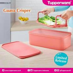 Tupperware Guava Crisper - Mencuci Meniriskan Dan Menyimpan Sayuran Di Kulkas - Pink Guava