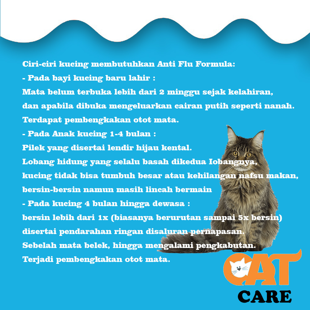 Cat Care Original 100% Obat Flu Kucing Ampuh - Obat Kucing Flu 