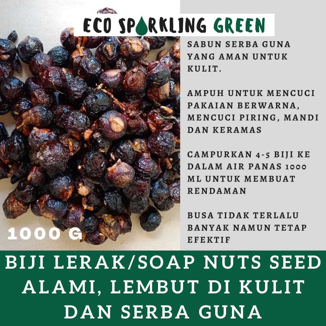 SOAP NUT SEEDS/SABUN BIJI LERAK UNTUK MENCUCI KAIN TRADISIONAL AMAN
